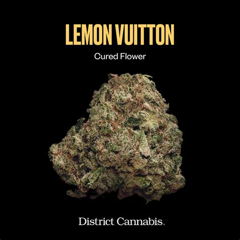 louis vuitton riserva weed|Lemon Vuitton Cannabis Strain Effects .